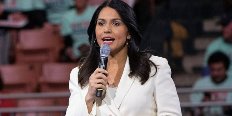 মার্কিন গোয়েন্দা প্রধান হতে যাওয়া কে এই ভারতীয় বংশোদ্ভূত তুলসী?