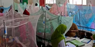 Bangladesh Dengue Outbreak Accelerates as Hospitals Come Under Strain